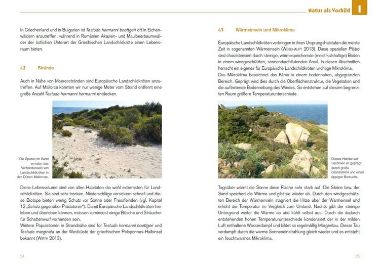 Produktbild: Freigehege f&uuml;r Europ&auml;ische Landschildkr&ouml;ten