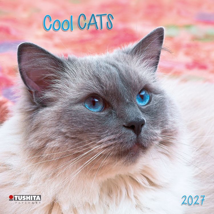 Produktbild: Cool Cats 2027