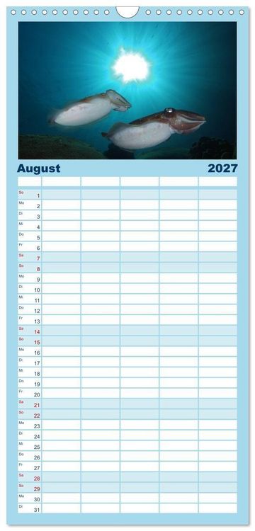 Produktbild: Familienplaner 2027 - Tauchen, Fische und Meer mit 5 Spalten (Wandkalender, 21 x 45 cm) CALVENDO
