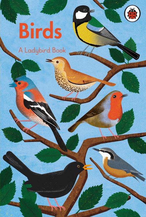 Produktbild: A Ladybird Book: Birds