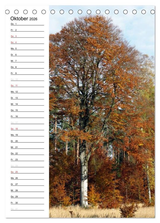 Produktbild: Land Brandenburg im Wechsel der Jahreszeiten (Tischkalender 2026 DIN A5 hoch), CALVENDO Monatskalender