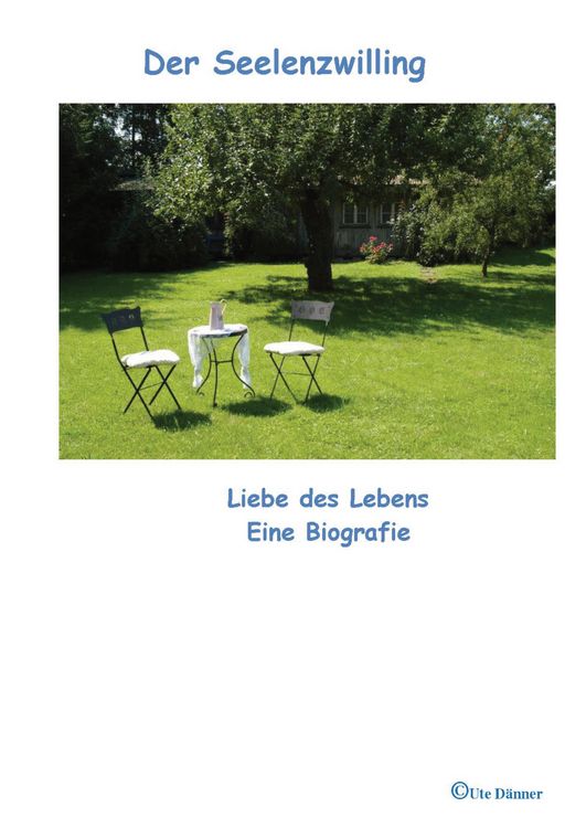 Produktbild: Der Seelenzwiling