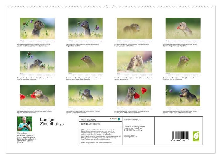 Produktbild: Lustige Zieselbabys (hochwertiger Premium Wandkalender 2027 DIN A2 quer), Kunstdruck in Hochglanz
