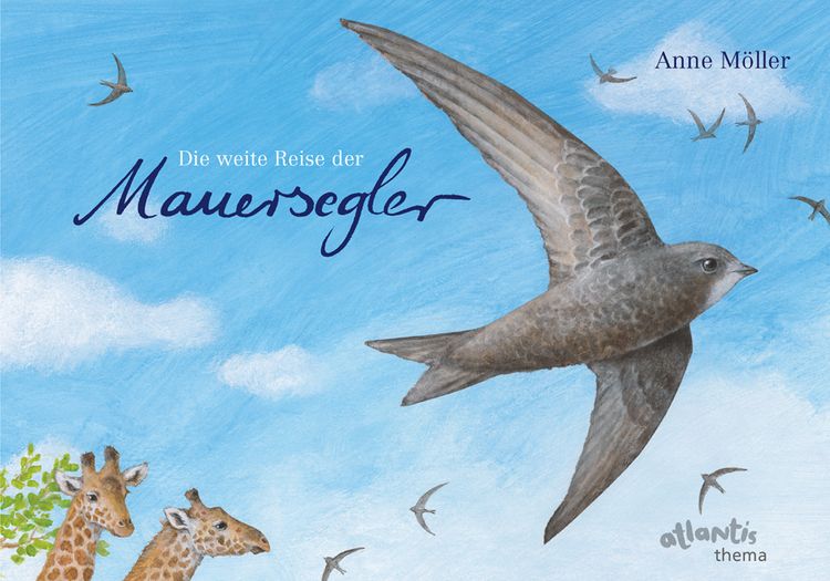 Produktbild: Die weite Reise der Mauersegler