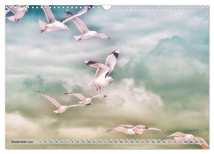 Produktbild: AMRUM Art (Wandkalender 2026 DIN A3 quer), CALVENDO Monatskalender