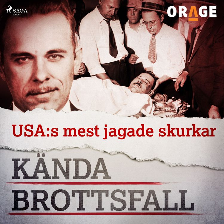 Produktbild: USA:s mest jagade skurkar