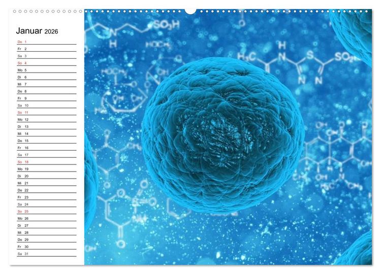 Produktbild: Mikrobiologie. Mikroorganismen, Genetik und Zellen (hochwertiger Premium Wandkalender 2026 DIN A2 quer), Kunstdruck in Hochglanz