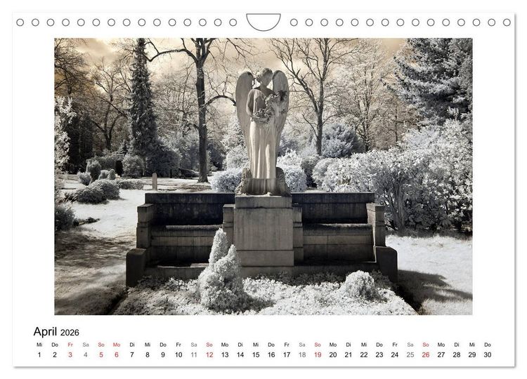 Produktbild: your guardian angel - Dein Schutzengel f&uuml;r jeden Tag (Wandkalender 2026 DIN A4 quer), CALVENDO Monatskalender