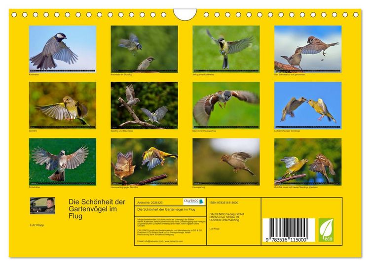 Produktbild: Die Sch&ouml;nheit der Gartenv&ouml;gel im Flug (Wandkalender 2026 DIN A4 quer), CALVENDO Monatskalender