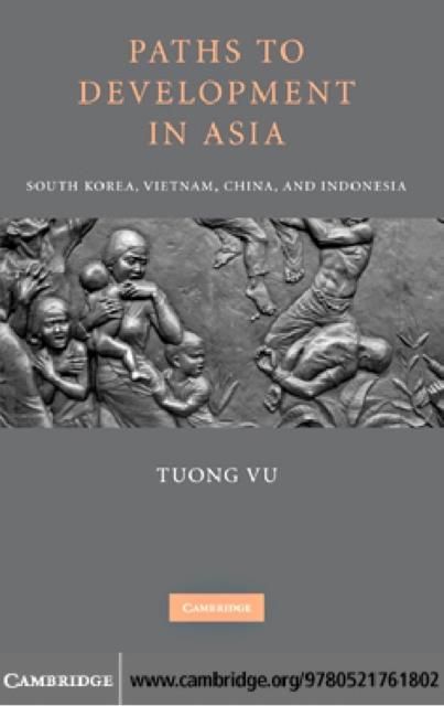 Produktbild: Paths to Development in Asia