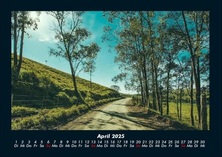 Produktbild: B&auml;ume 2025 Fotokalender DIN A4