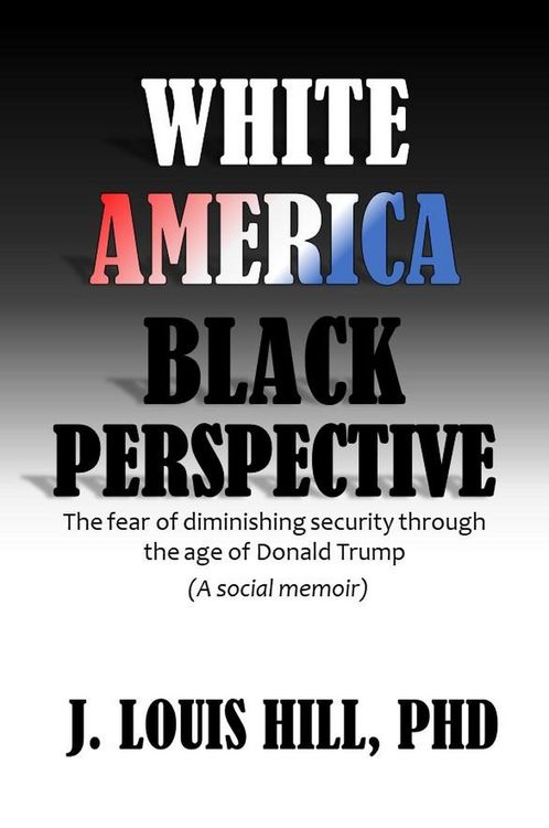 Produktbild: White America, Black Perspective