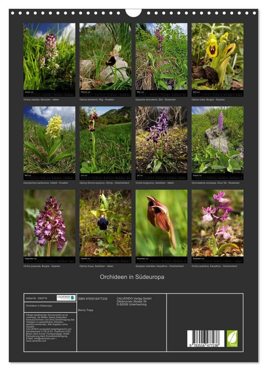 Produktbild: Orchideen in S&uuml;deuropa (Wandkalender 2026 DIN A3 hoch), CALVENDO Monatskalender