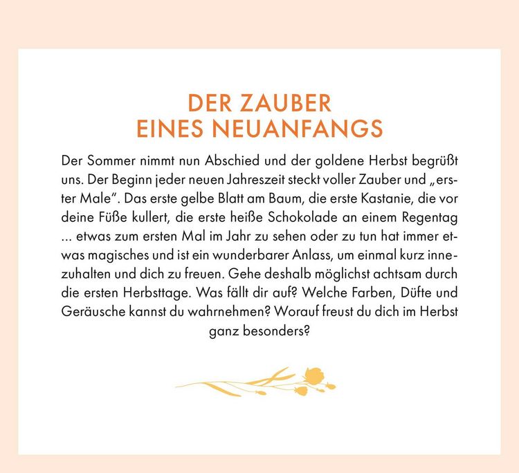 Produktbild: Wochenkalender 2027: Kleine Atempausen f&uuml;r dich