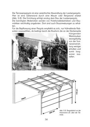 Produktbild: Hobbyweinbau. Anbau &ndash; Pflege &ndash; Weinbereitung