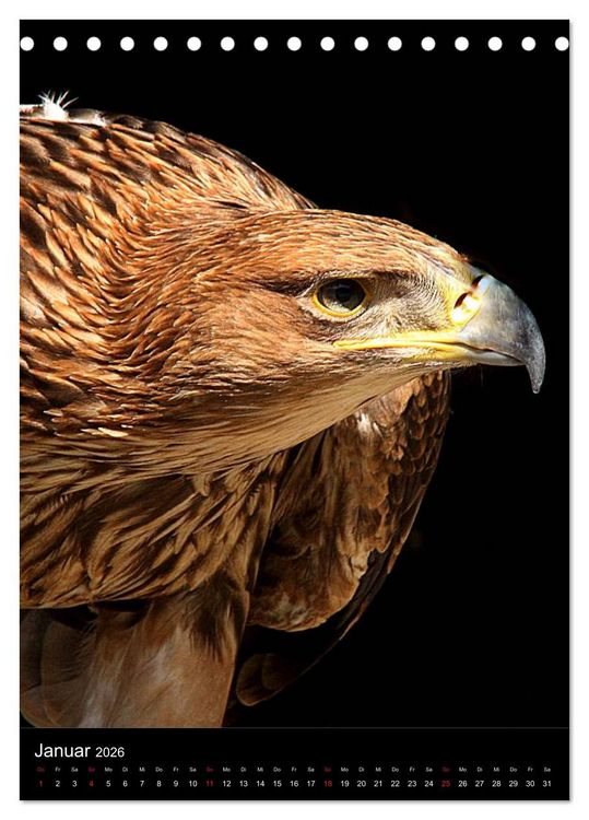 Produktbild: Raubv&ouml;gel - Die J&auml;ger der L&uuml;fte (Tischkalender 2026 DIN A5 hoch), CALVENDO Monatskalender