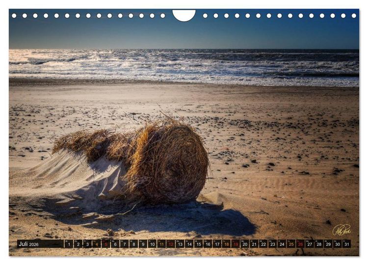 Produktbild: Nordsee-D&uuml;nen (Wandkalender 2026 DIN A4 quer), CALVENDO Monatskalender