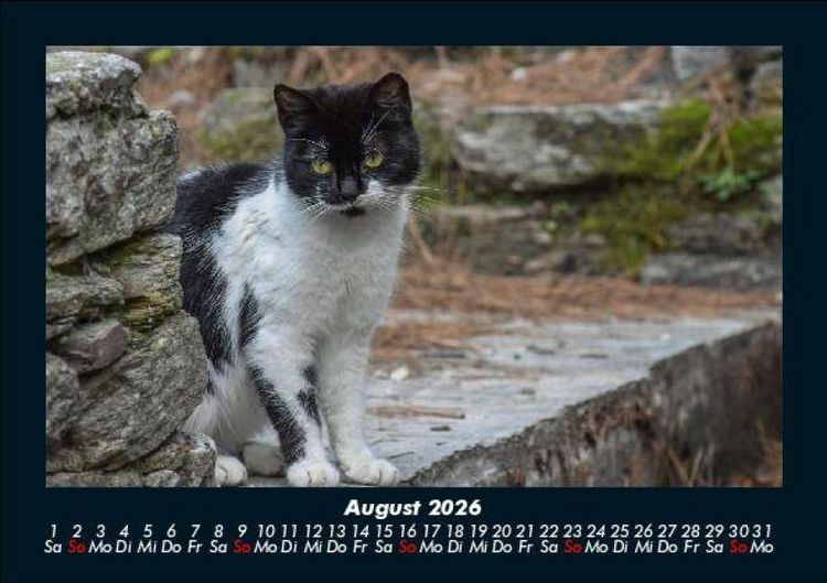 Produktbild: Tiere auf dem Bauernhof 2026 Fotokalender DIN A5