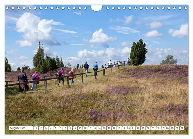 Produktbild: Die L&uuml;neburger Heide - Ausflugsziel im Norden (Wandkalender 2026 DIN A4 quer), CALVENDO Monatskalender