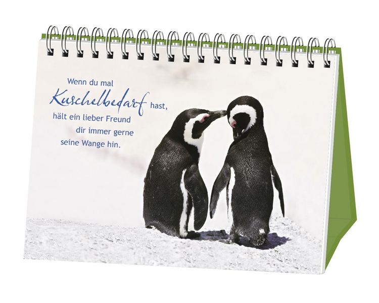 Produktbild: Ein tierisch starkes Team