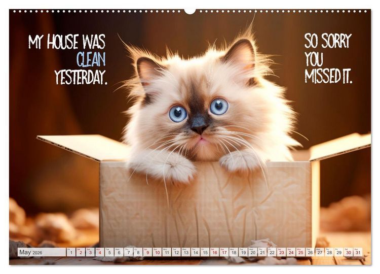 Produktbild: WITTY CATS Cool sayings (Wall Calendar 2026 DIN A2 landscape), CALVENDO 12 Month Wall Calendar