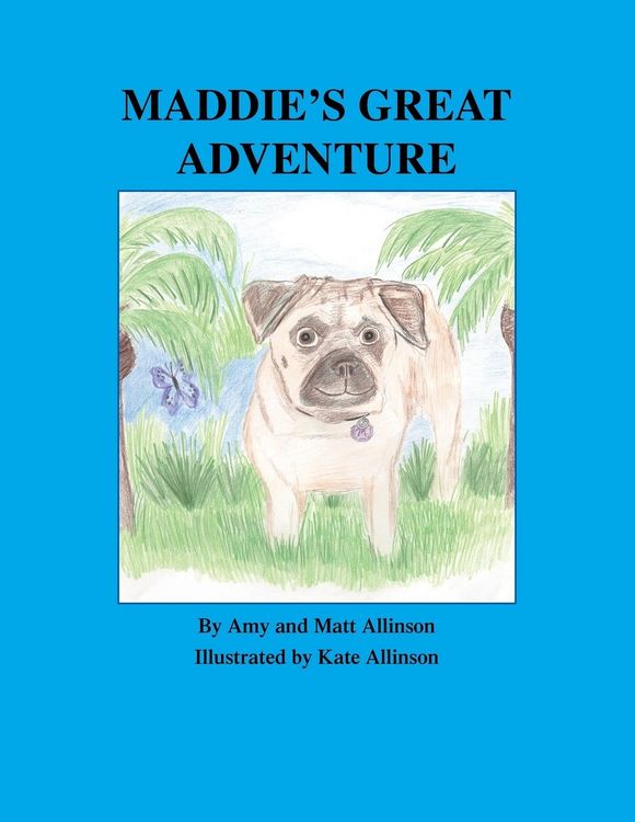 Produktbild: Maddie's Great Adventure