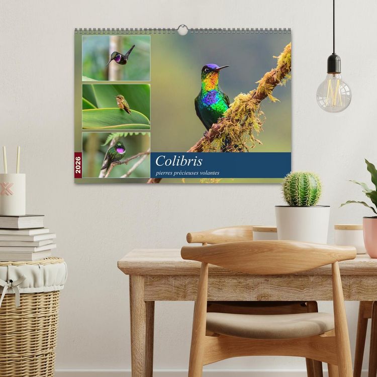 Produktbild: Colibris - pierres pr&eacute;cieuses volantes (Calendrier mural 2026 DIN A3 vertical), CALVENDO calendrier mensuel