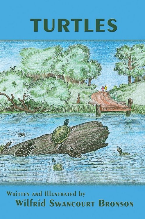 Produktbild: Turtles