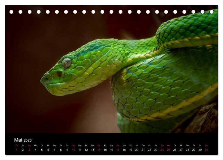 Produktbild: Costa Rica. Faszinierende Tierwelt (Tischkalender 2026 DIN A5 quer), CALVENDO Monatskalender