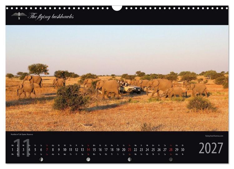 Produktbild: Botswana Blickwinkel 2027 (Wandkalender 2027 DIN A3 quer), CALVENDO Monatskalender
