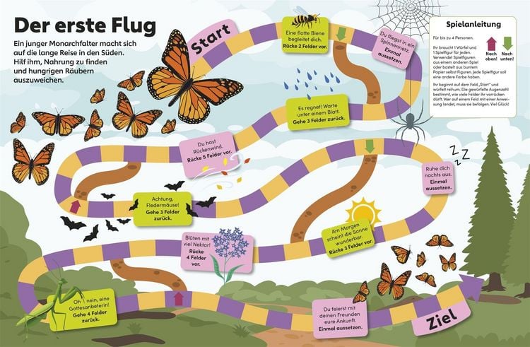 Produktbild: memo Wissen Kids. Insekten