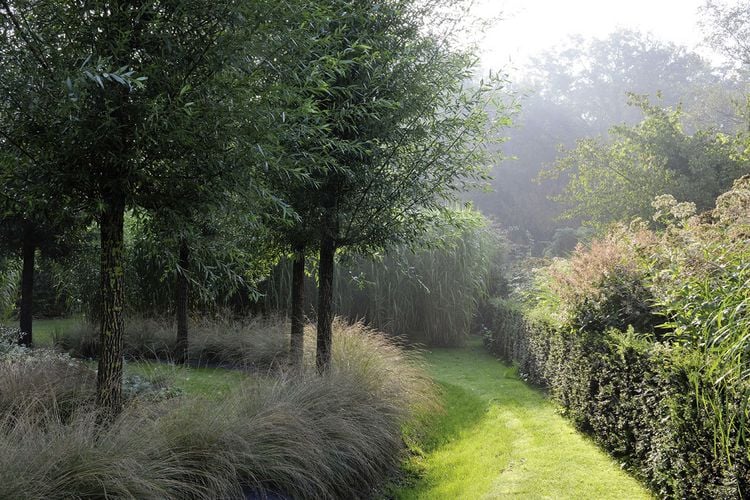 Produktbild: Meine Vision wird Garten