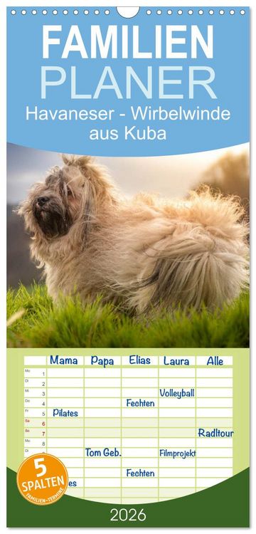 Produktbild: Familienplaner 2026 - Havaneser - Wirbelwinde aus Kuba mit 5 Spalten (Wandkalender, 21 x 45 cm) CALVENDO