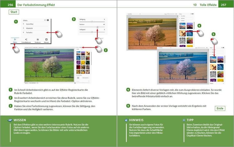 Produktbild: Photoshop Elements 2025 - Bild f&uuml;r Bild erkl&auml;rt