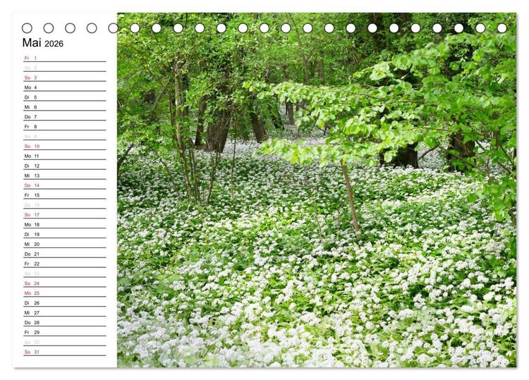 Produktbild: Die Jahreszeiten im Havelland (Tischkalender 2026 DIN A5 quer), CALVENDO Monatskalender