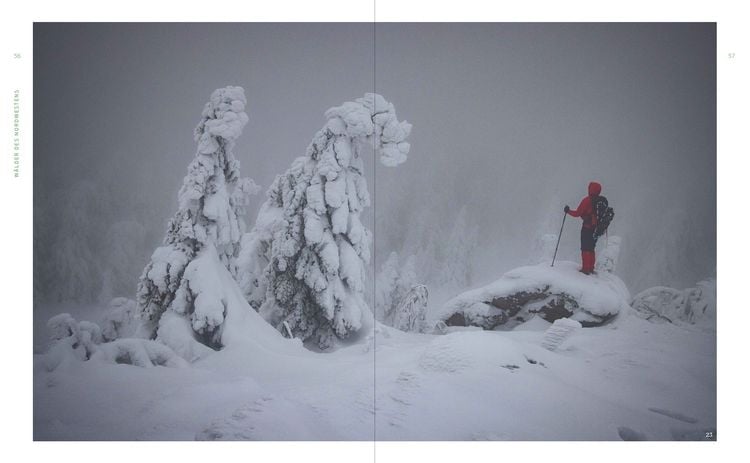 Produktbild: Wild Guide Deutsche W&auml;lder
