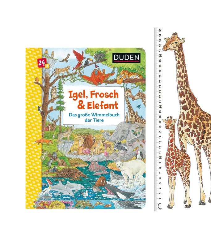 Produktbild: Duden 24+: Igel, Frosch & Elefant: Das gro&szlig;e Wimmelbuch der Tiere