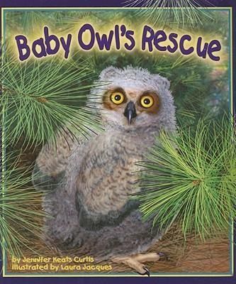 Produktbild: Baby Owl's Rescue