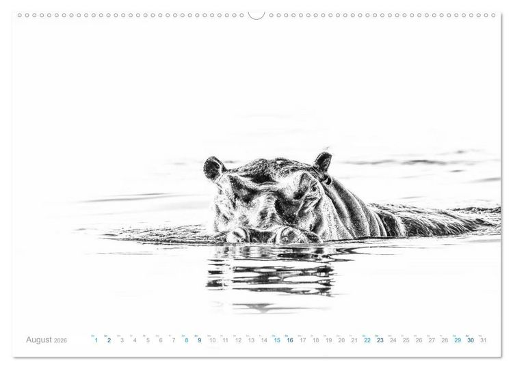 Produktbild: AFRIKA - Schwarz-weiss Fotografien im modernen "High Key" Look (Wandkalender 2026 DIN A2 quer), CALVENDO Monatskalender