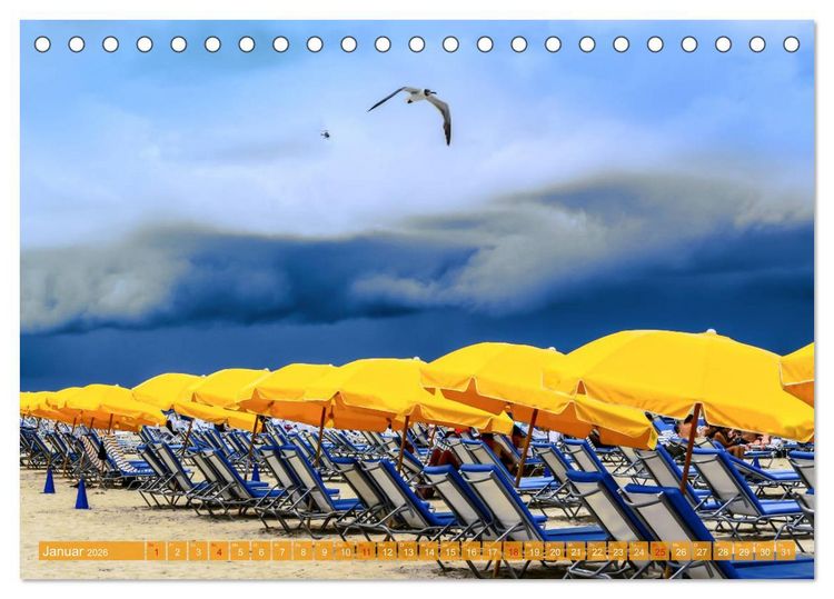 Produktbild: Florida - Sonnige Str&auml;nde und magische S&uuml;mpfe (Tischkalender 2026 DIN A5 quer), CALVENDO Monatskalender