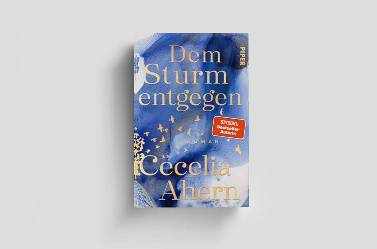 Produktbild: Dem Sturm entgegen