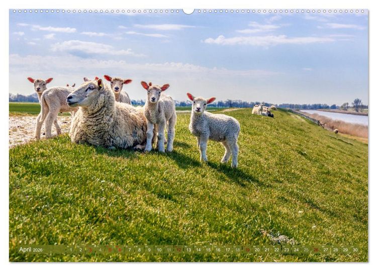 Produktbild: GREETSIEL-LIEBE (Wandkalender 2026 DIN A2 quer), CALVENDO Monatskalender