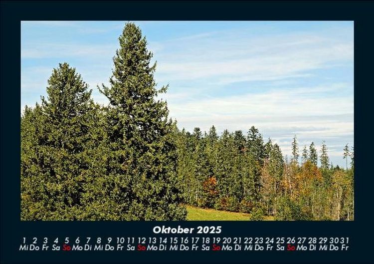 Produktbild: B&auml;ume 2025 Fotokalender DIN A5