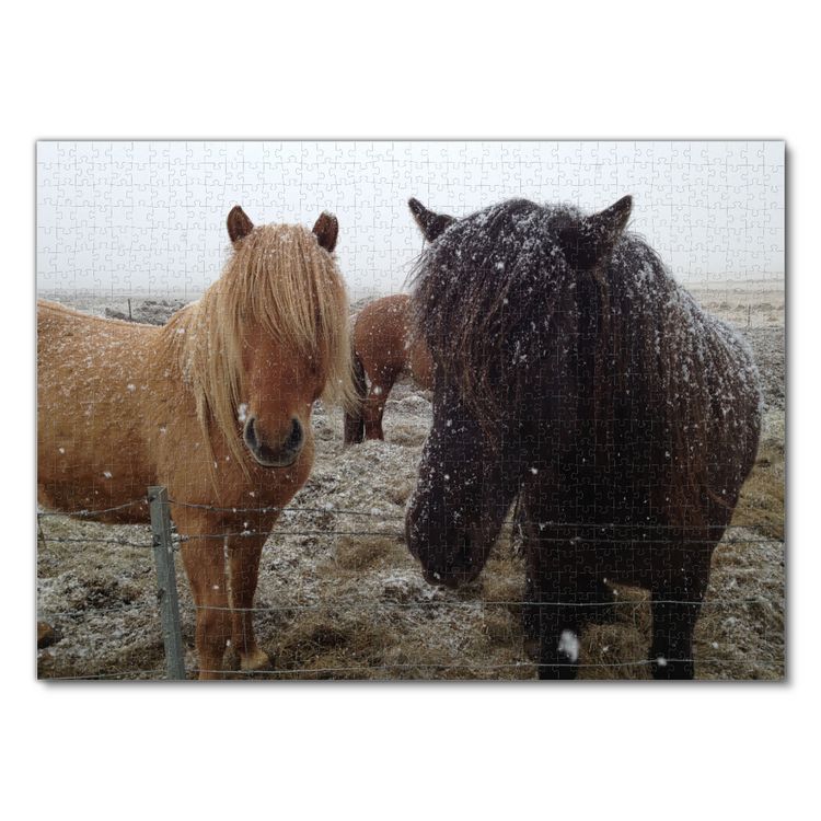 Produktbild: Lais Puzzle Islandpferde 1000 Teile