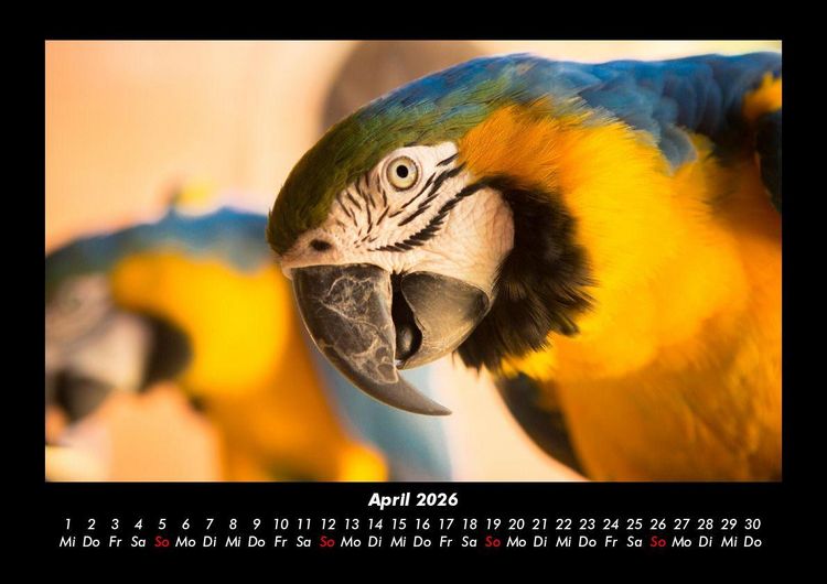 Produktbild: Der Tierkalender 2026 Fotokalender DIN A3