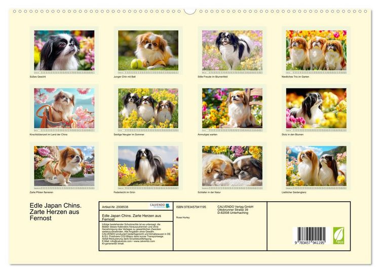 Produktbild: Edle Japan Chins. Zarte Herzen aus Fernost (hochwertiger Premium Wandkalender 2026 DIN A2 quer), Kunstdruck in Hochglanz