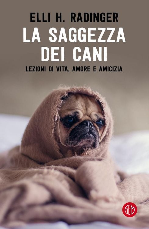 Produktbild: La saggezza dei cani. Lezioni di vita, amore e amicizia