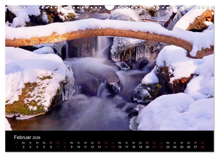 Produktbild: Der Waldspaziergang (Wandkalender 2026 DIN A3 quer), CALVENDO Monatskalender