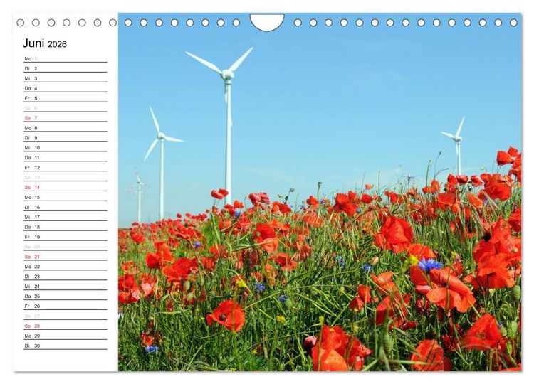 Produktbild: Vier Jahreszeiten im Land Brandenburg (Wandkalender 2026 DIN A4 quer), CALVENDO Monatskalender