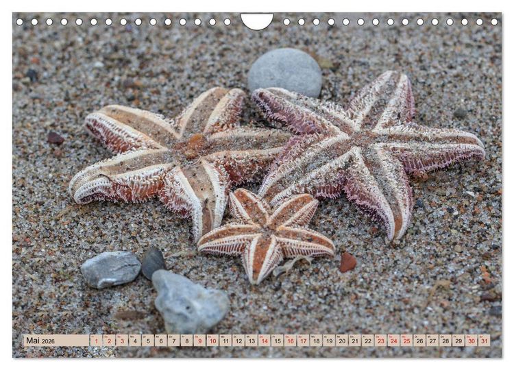 Produktbild: Timmendorfer Strand - Urlaubsparadies an der Ostsee (Wandkalender 2026 DIN A4 quer), CALVENDO Monatskalender